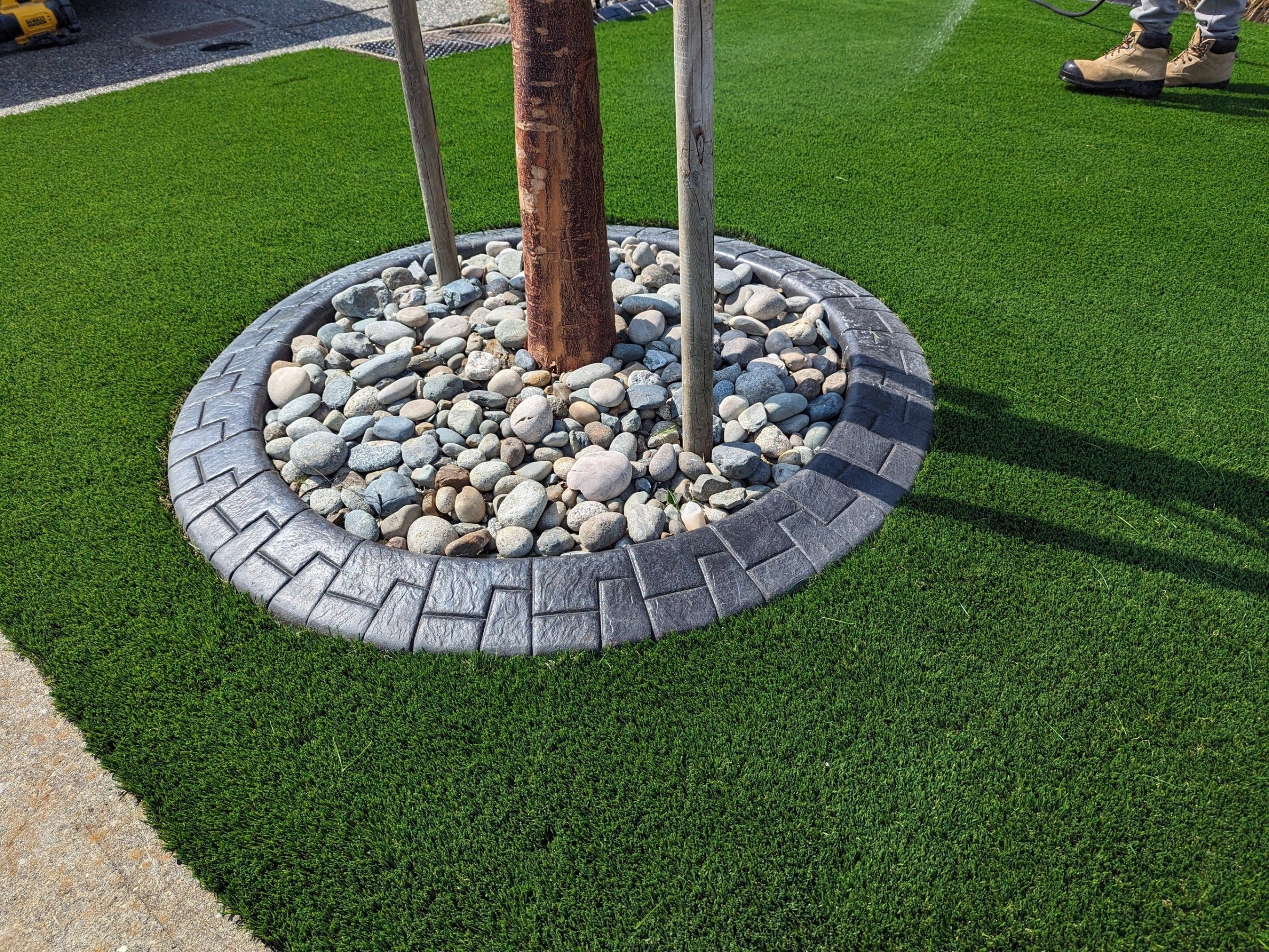 Turf Installtion around a tree